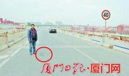 杏林大桥最新爆料消息,揭秘工程进展与神秘设计元素